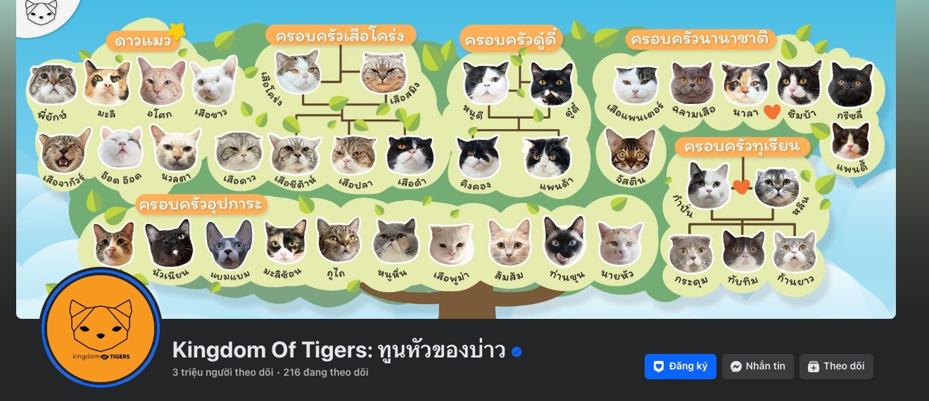 Kingdom Of Tigers: ทูนหัวของบ่าว